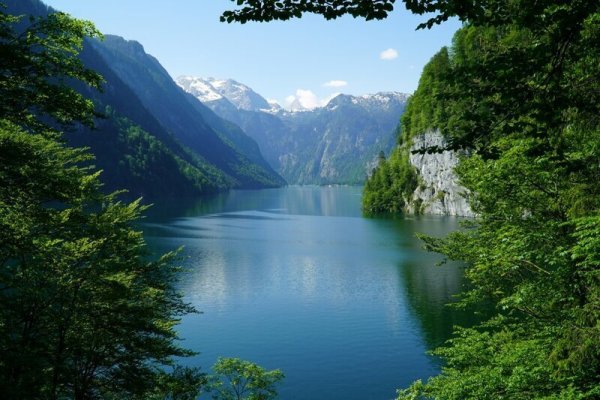 Кракен клир ссылка