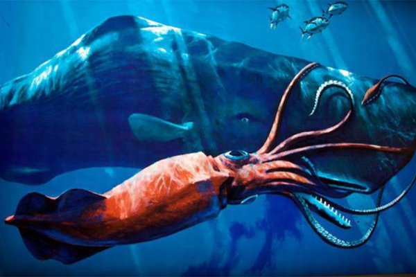 Кракен сайт ссылка kraken dark link